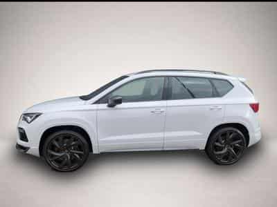 Cupra Ateca (2025) - Photo 3