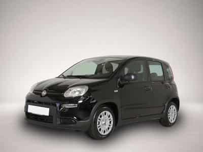 Fiat Panda (2024) - Photo 1