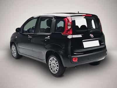 Fiat Panda (2026) - Photo 3