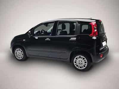 Fiat Panda (2026) - Photo 4
