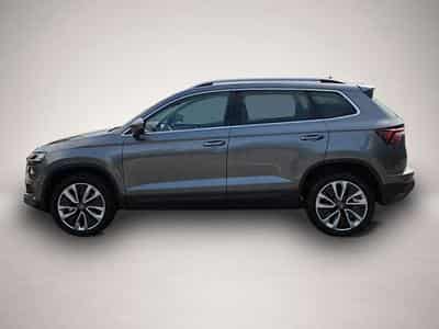 Skoda Karoq (2025) - Photo 4