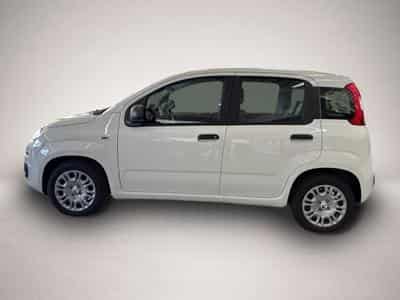 Fiat Panda (2026) - Photo 2