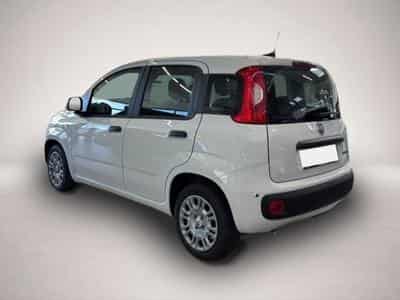 Fiat Panda (2026) - Photo 3