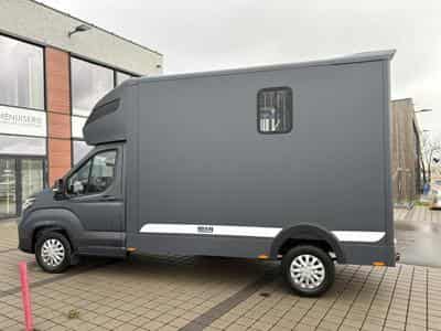 Maxus Deliver 9 3.5T MAXUS DELIVER 9 - MSG STALLION LIGHT (2026) - Photo 15