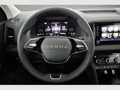 Skoda Karoq (2026) - Photo 6