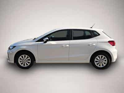 Seat Ibiza (2026) - Photo 4