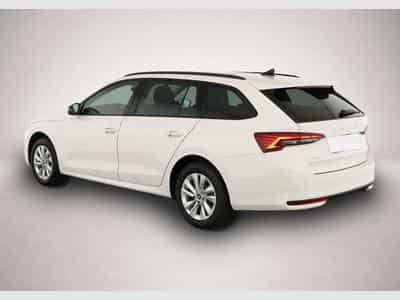 Skoda Octavia (2026) - Photo 4