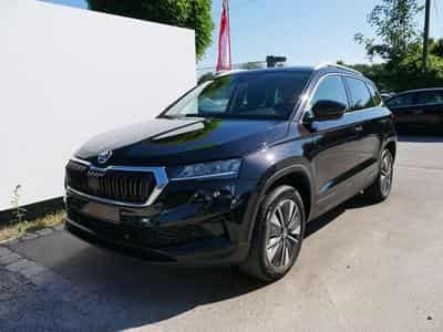 Skoda Karoq Selection (2025) - Photo 1