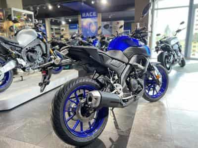 Yamaha MT125 BLEU (2026) - Photo 3