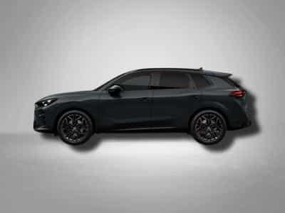 Cupra Terramar VZ 2.0 TSI 7-Gang-DSG 4Drive (2026) - Photo 2