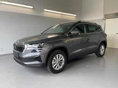 Skoda Karoq Selection (2026) - Photo 1