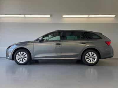 Skoda Octavia Selection (2026) - Photo 3