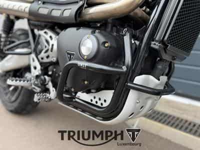 Triumph Scrambler SCRAMBLER 1200 XE ICON EDITION (2025) - Photo 13