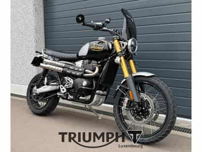 Triumph Scrambler SCRAMBLER 1200 XE ICON EDITION (2025) - Photo 5
