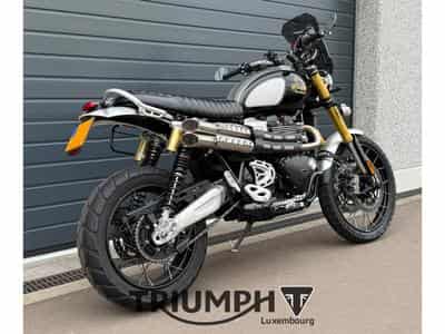 Triumph Scrambler SCRAMBLER 1200 XE ICON EDITION (2025) - Photo 6