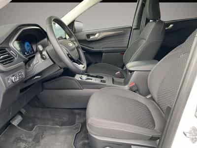 Ford Kuga (2024) - Photo 7