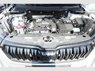 Skoda Karoq Sportline (2026) - Photo 12