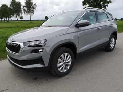 Skoda Karoq Selection (2026) - Photo 1