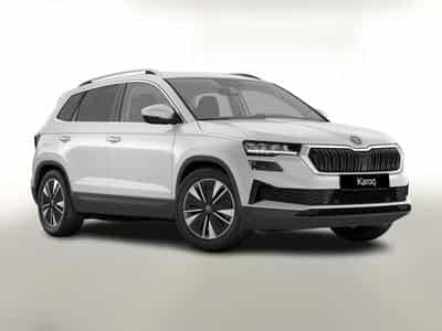 Skoda Karoq Selection (2026) - Photo 1