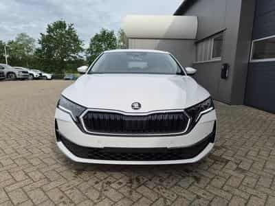 Skoda Octavia 1.5 TSI 150PS (2026) - Photo 7