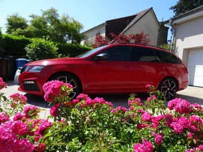 Skoda Octavia RS DSG (2019) - Photo 3