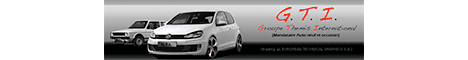 Logo Groupe Themis International