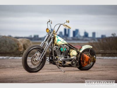 Harley-Davidson Softail Springer Evo (1999) - Photo 1