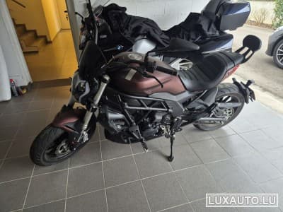Benelli 502 C (2022) - Photo 1