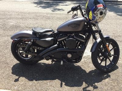 Harley-Davidson Sportster XL883N (2016) - Photo 1