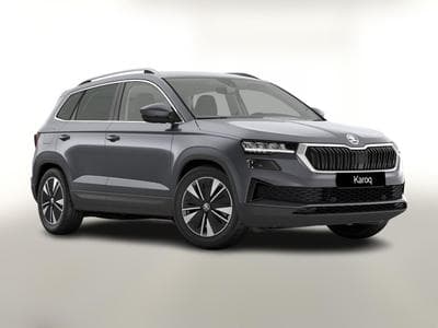 Skoda Karoq Selection (2026) - Photo 1