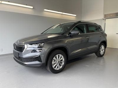 Skoda Karoq Selection (2026) - Photo 1