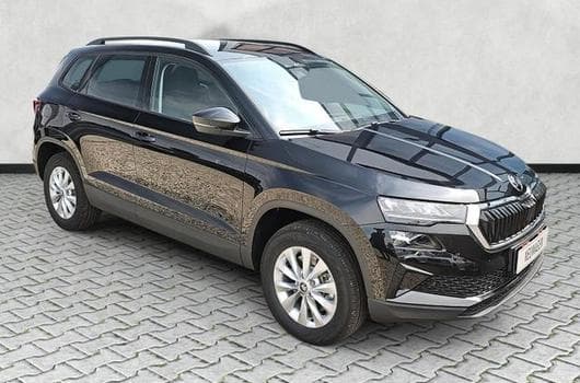 Skoda Karoq Selection (2026) - Photo 10