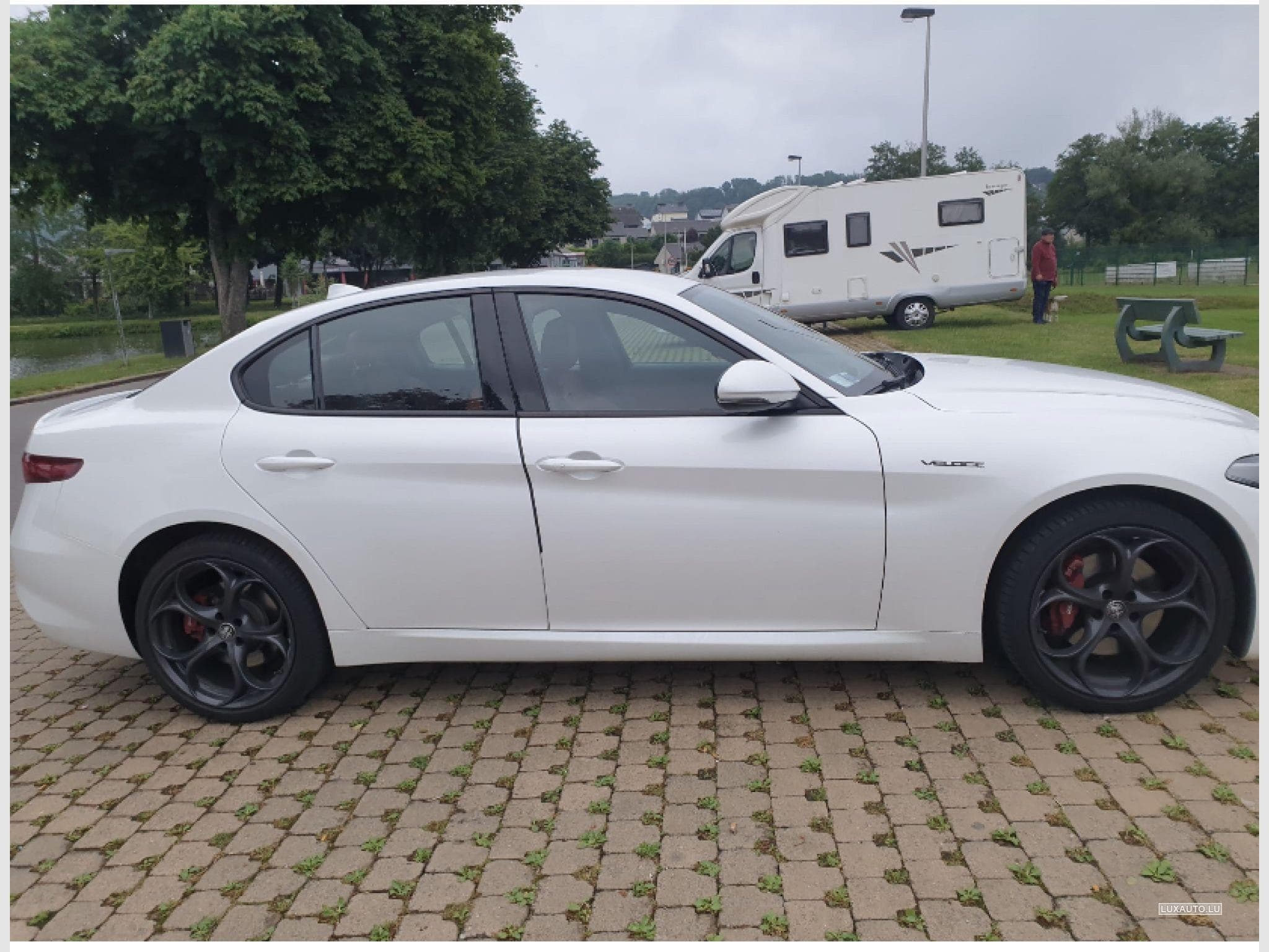 Alfa-Romeo Giulia 2.0 T Veloce Q4 Auto. (2020) - Photo 3