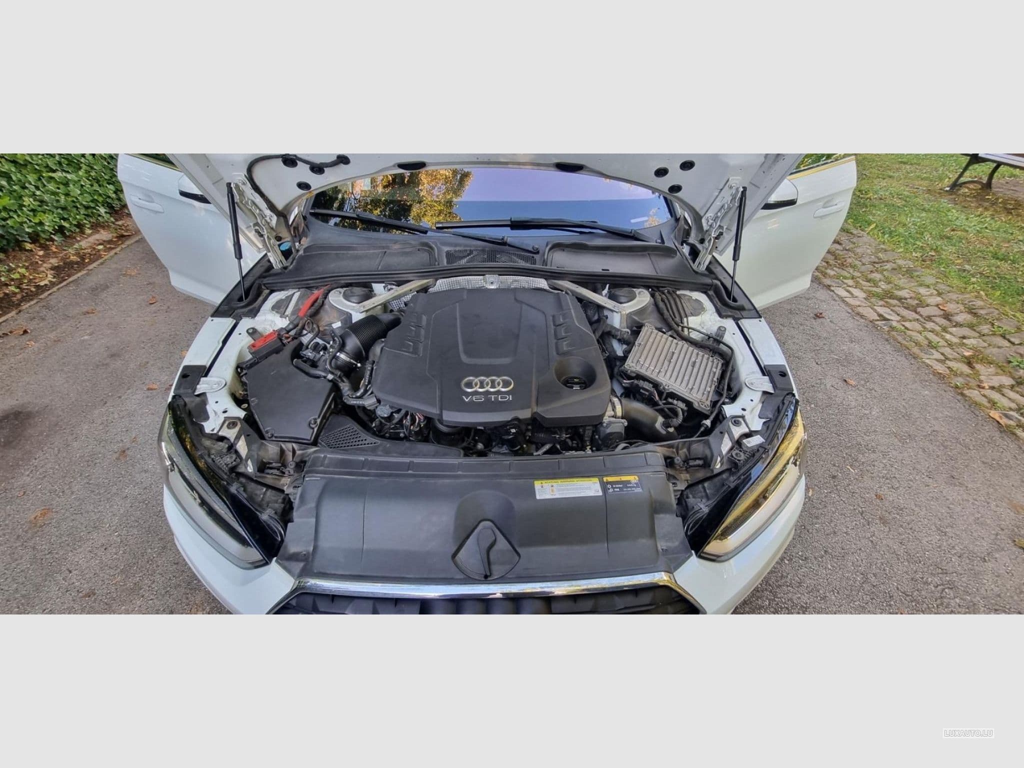 Audi A5 Sportback 3.0 Tdi 218 Quattro S-Tronic (2017) - Photo 1