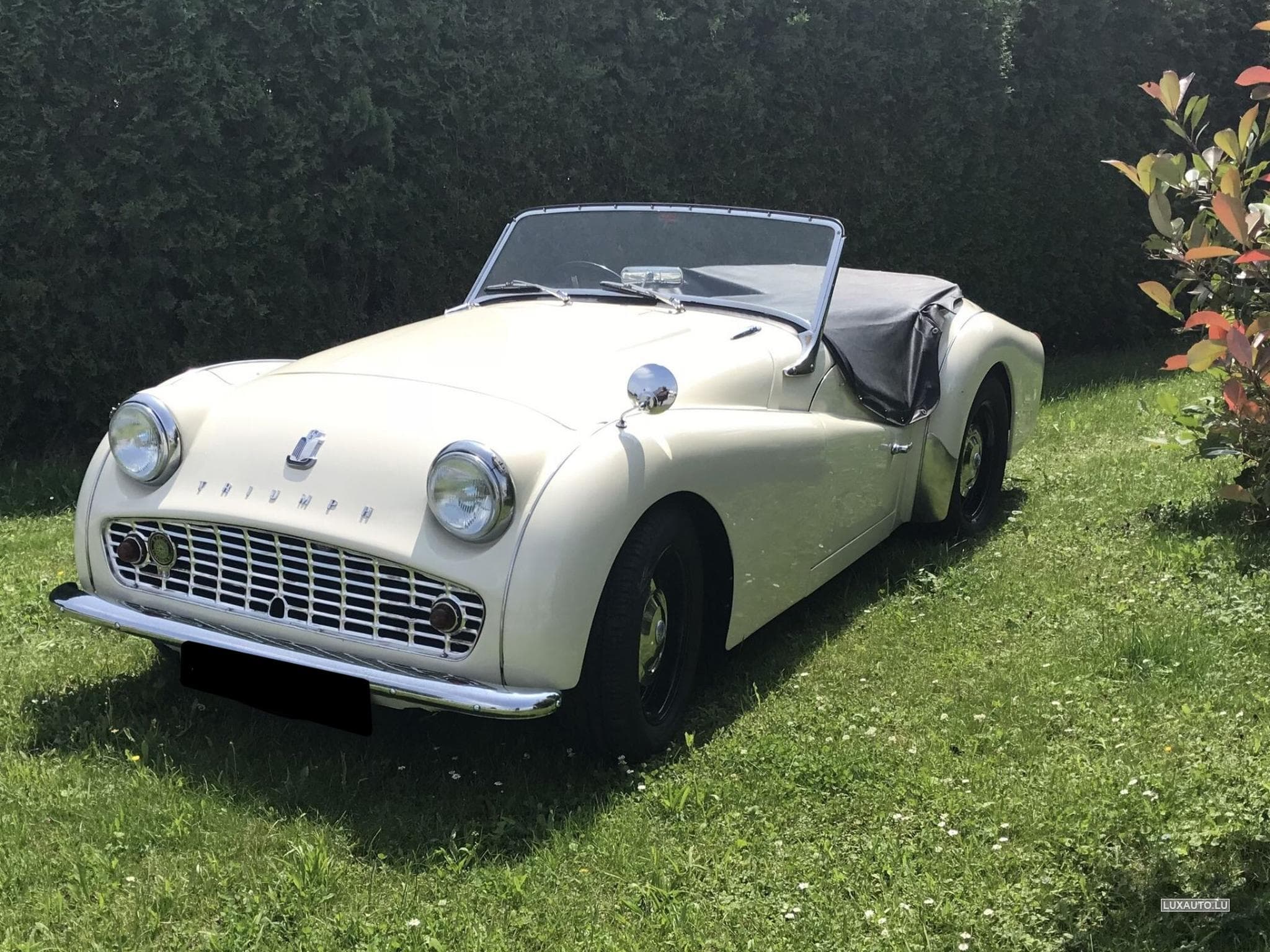 Triumph TR3 2.0 RHD (1962) - Photo 1