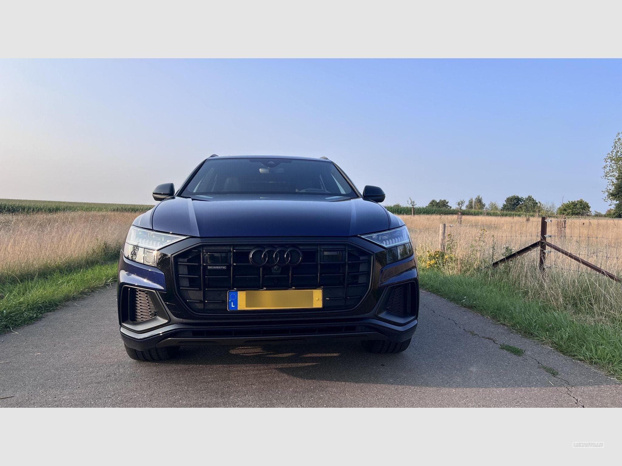 Audi Q8 50 Tdi 286 S-Line Quattro Tiptronic (2022) - Photo 3