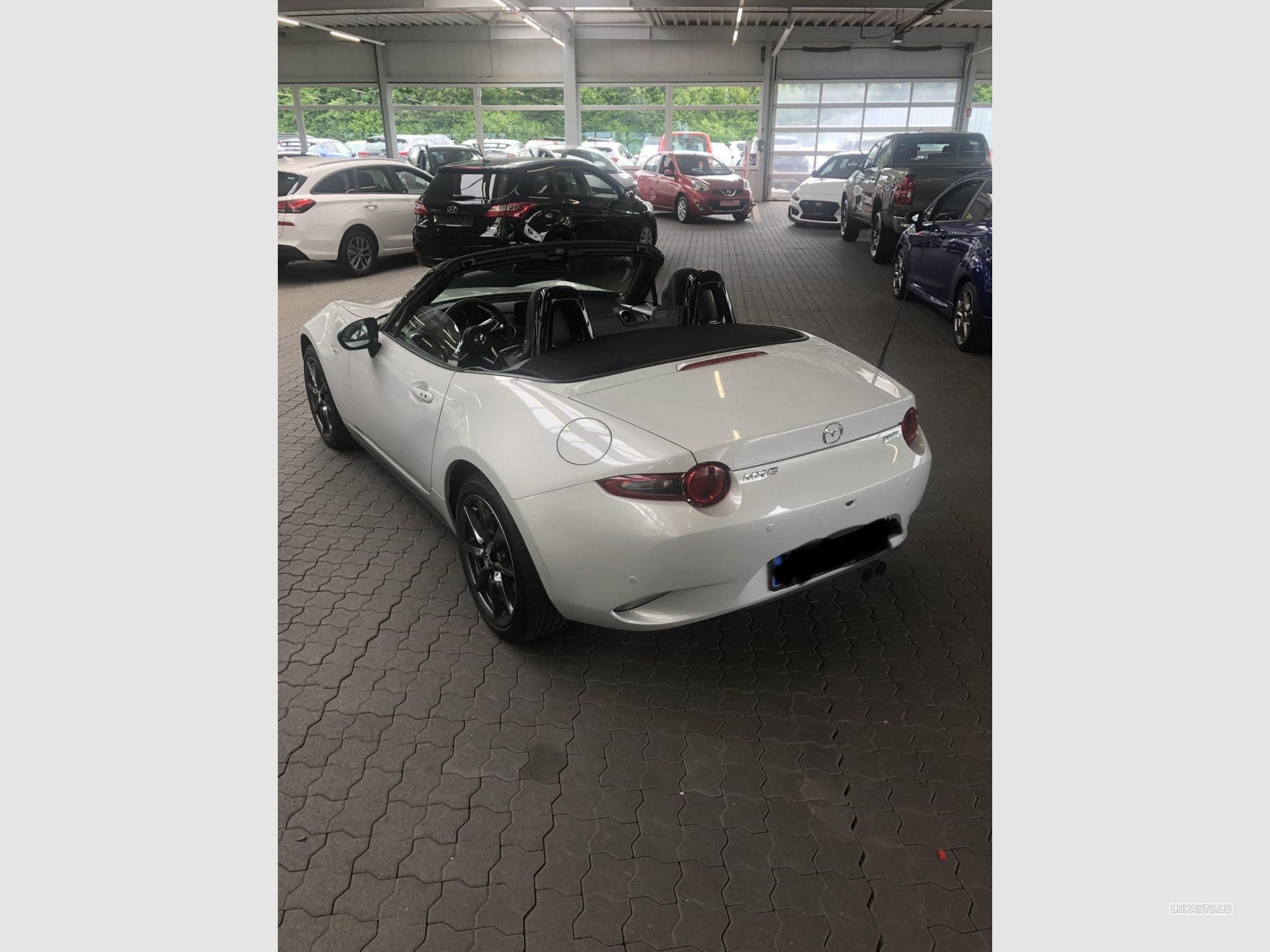 Mazda MX-5 2.0 Skyactiv-G Sports-Line (2019) - Photo 2
