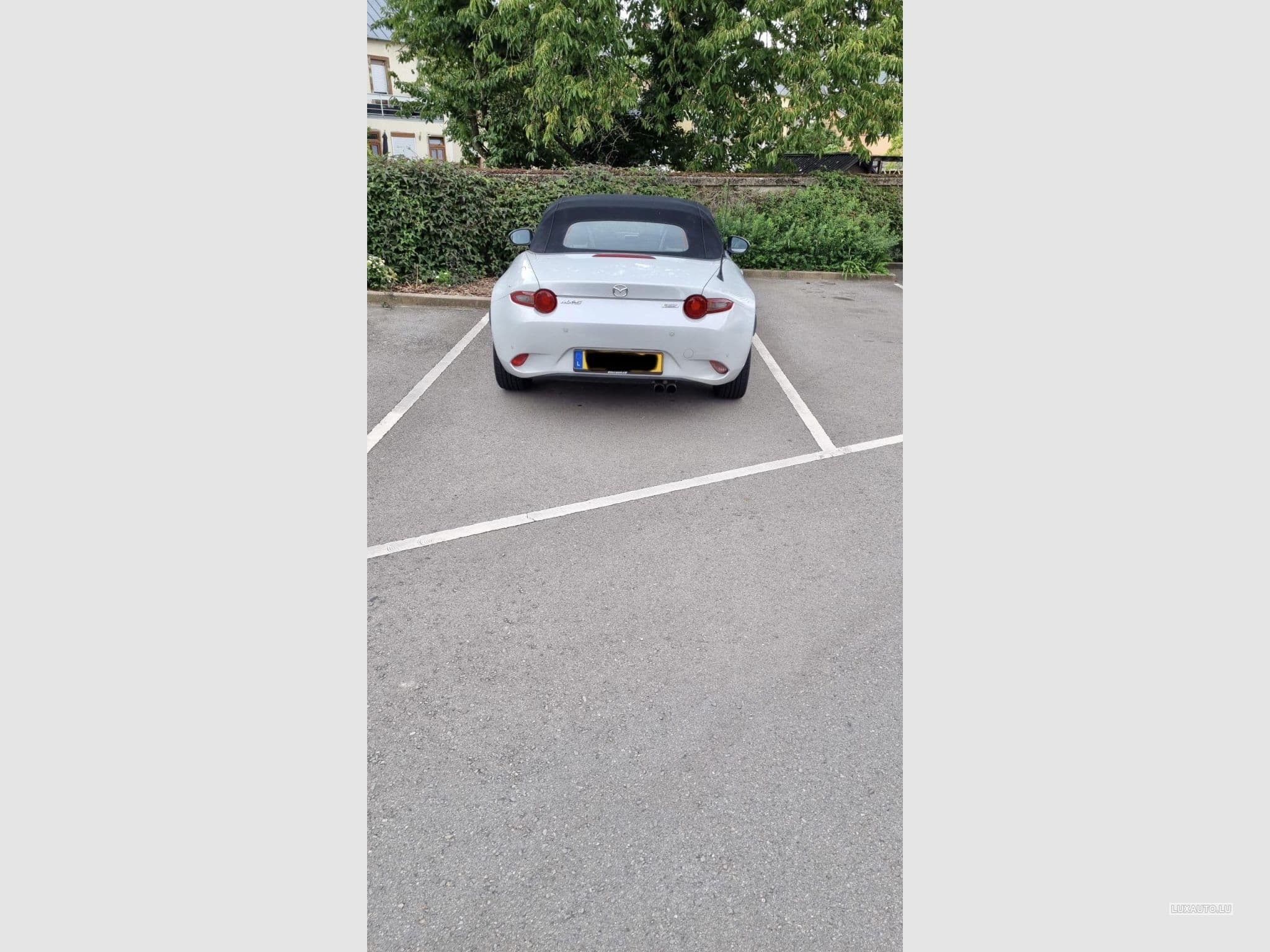 Mazda MX-5 2.0 Skyactiv-G Sports-Line (2019) - Photo 6