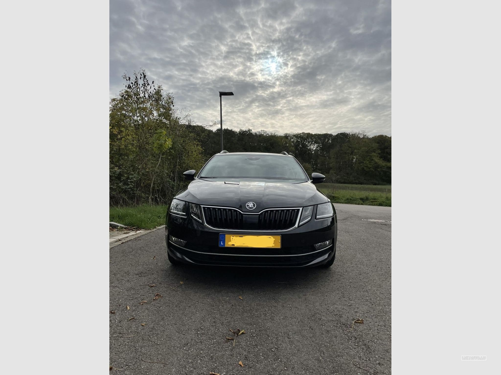 Skoda Octavia (2017) - Photo 4