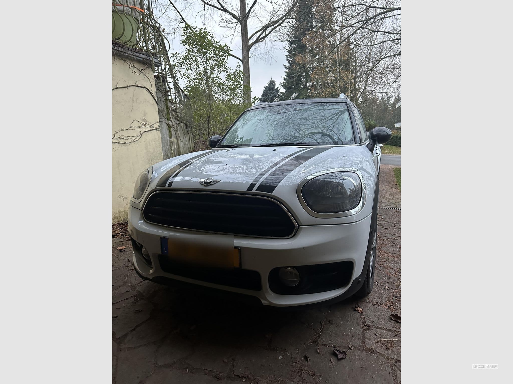 Mini Countryman all 4 (2017) - Photo 1