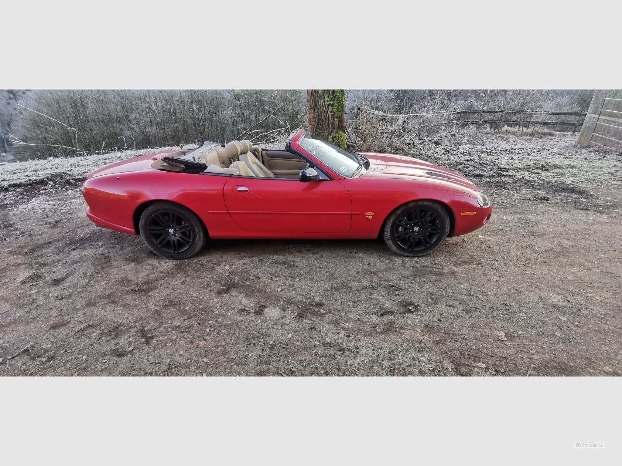 Jaguar XKR Xkr (2003) - Photo 11