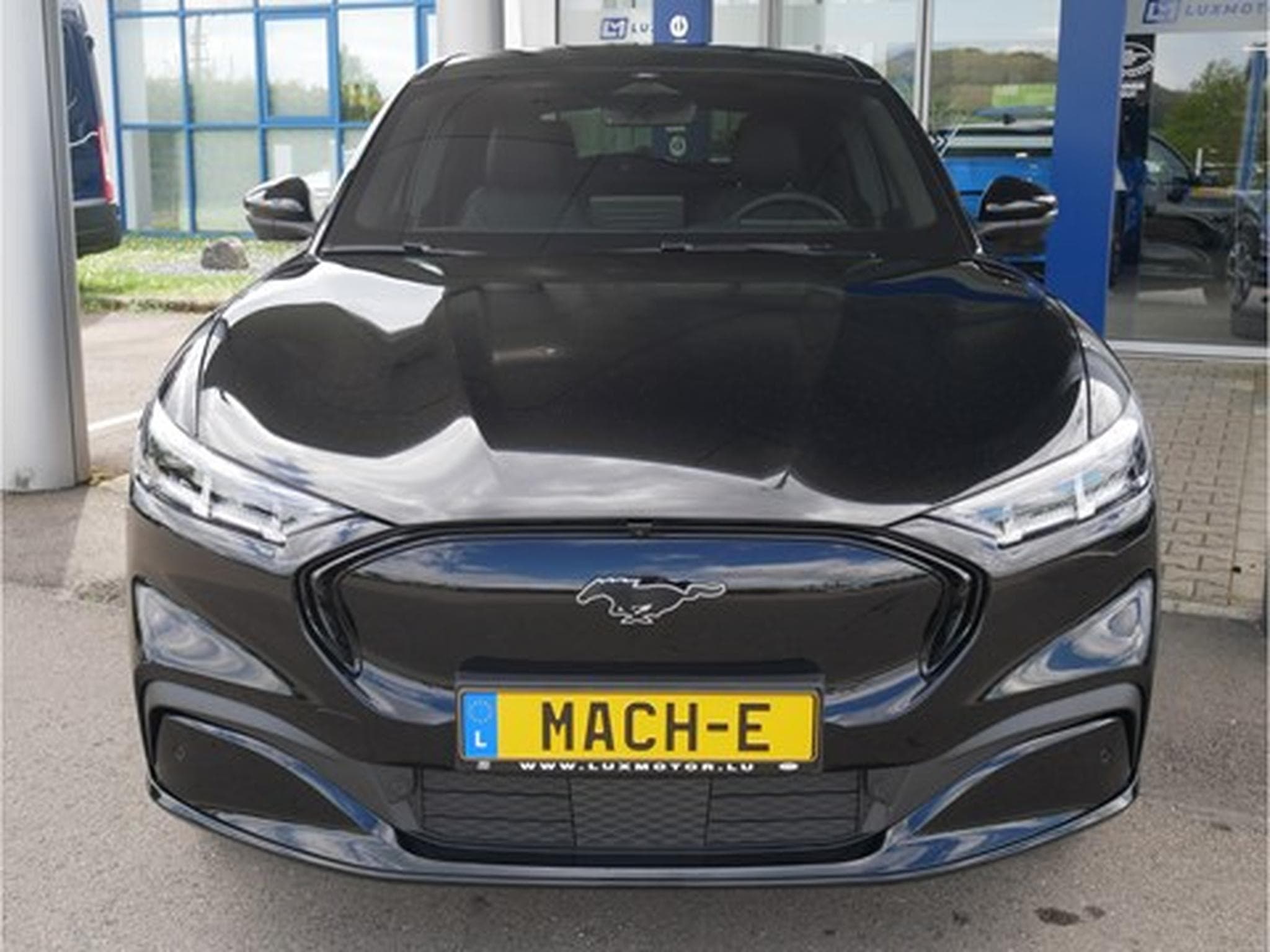 Ford Mustang Mach-E Premium AWD 76kWh Standard Range 269CV/198kW - A1 (2023) - Photo 4