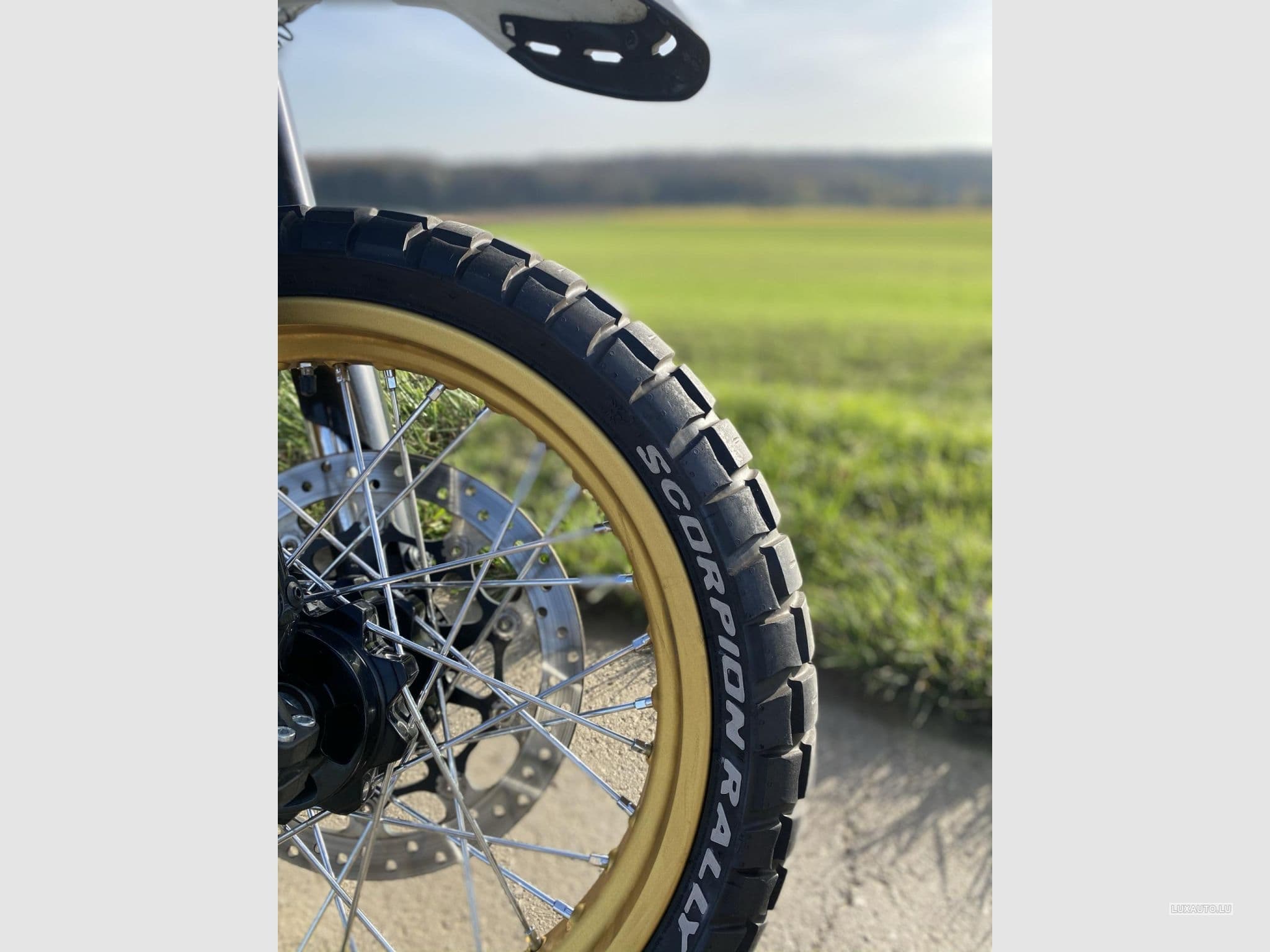 Ducati Scrambler Desert Sled (2018) - Photo 3