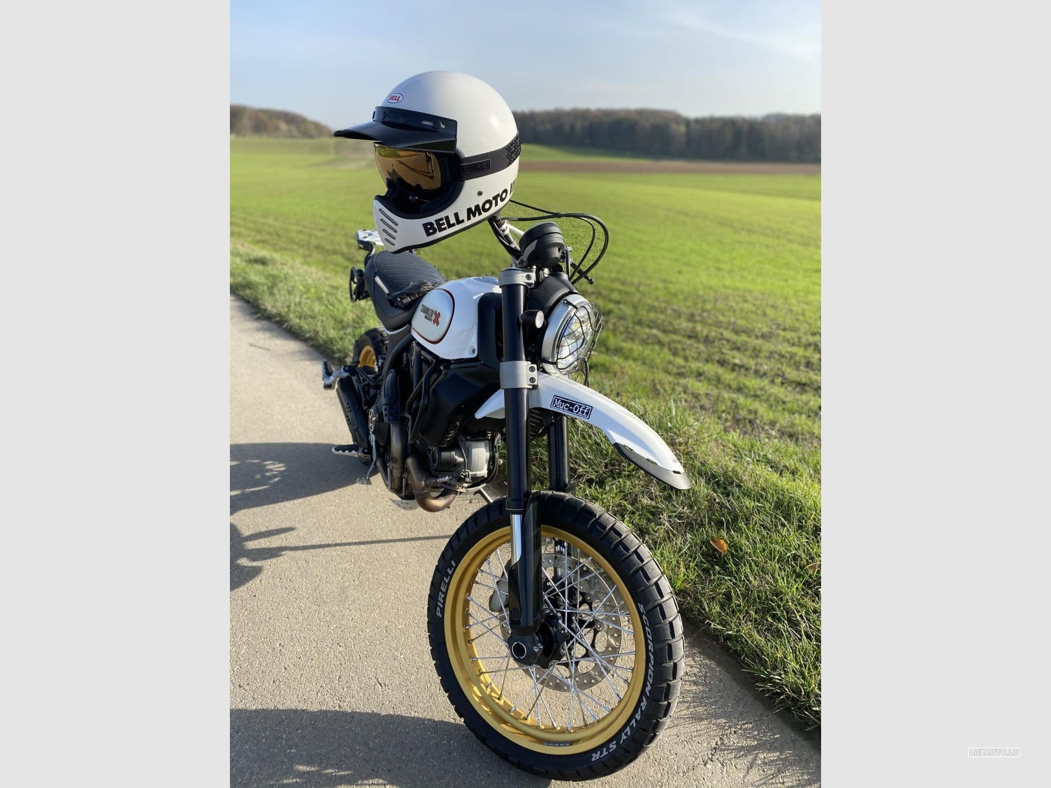 Ducati Scrambler Desert Sled (2018) - Photo 5