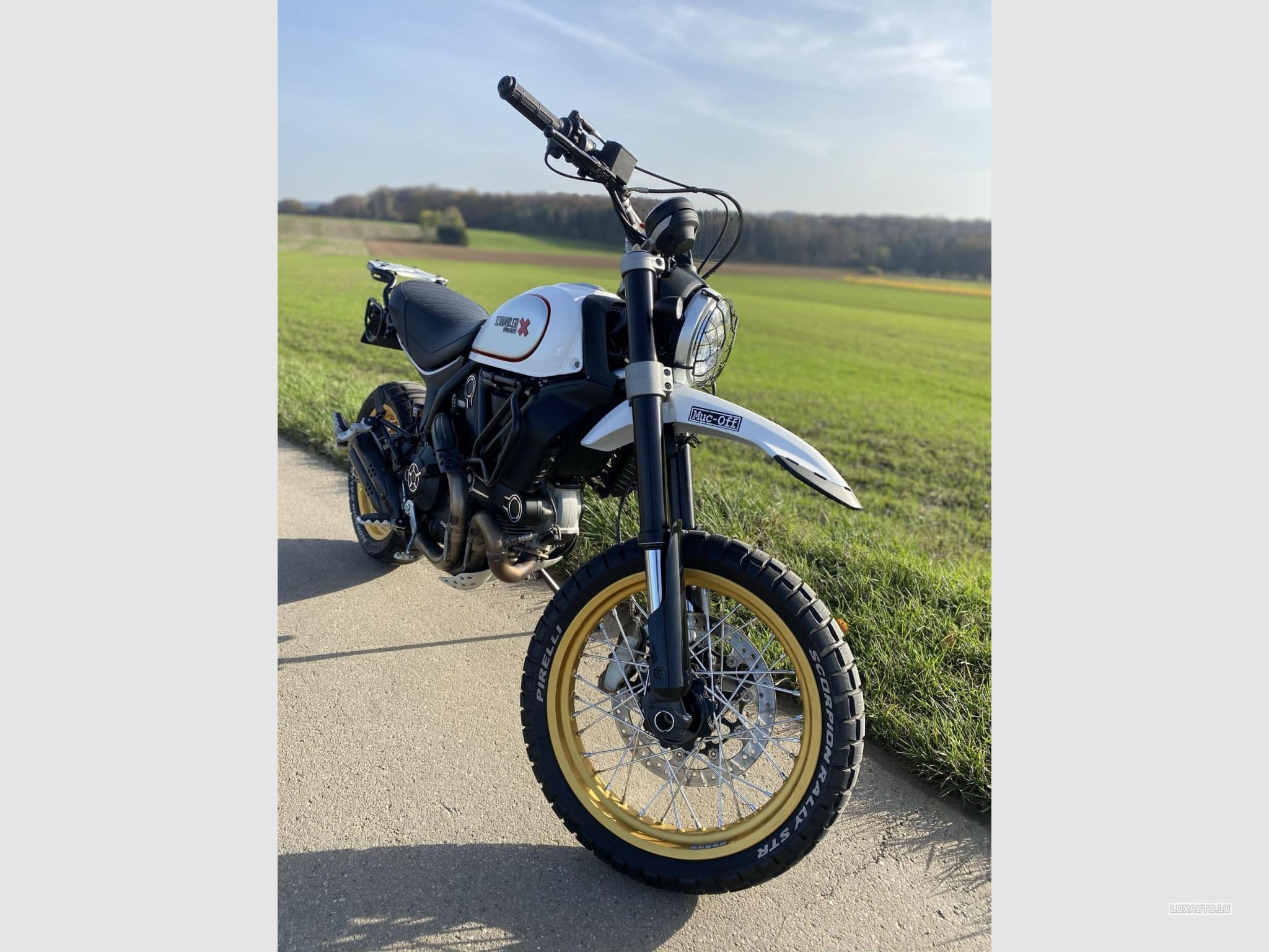 Ducati Scrambler Desert Sled (2018) - Photo 6