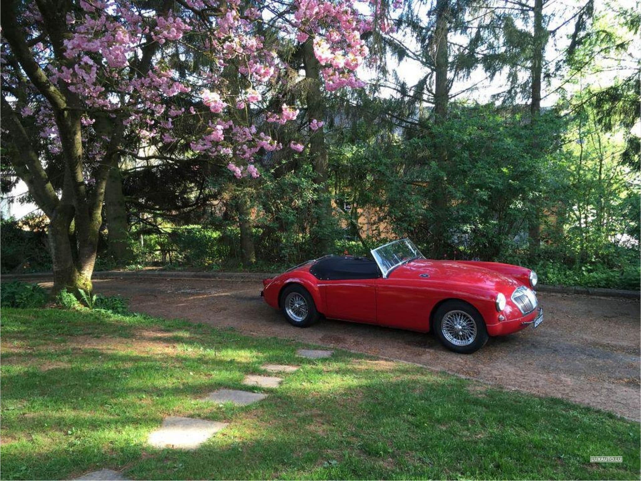 MG A (1958) - Photo 1