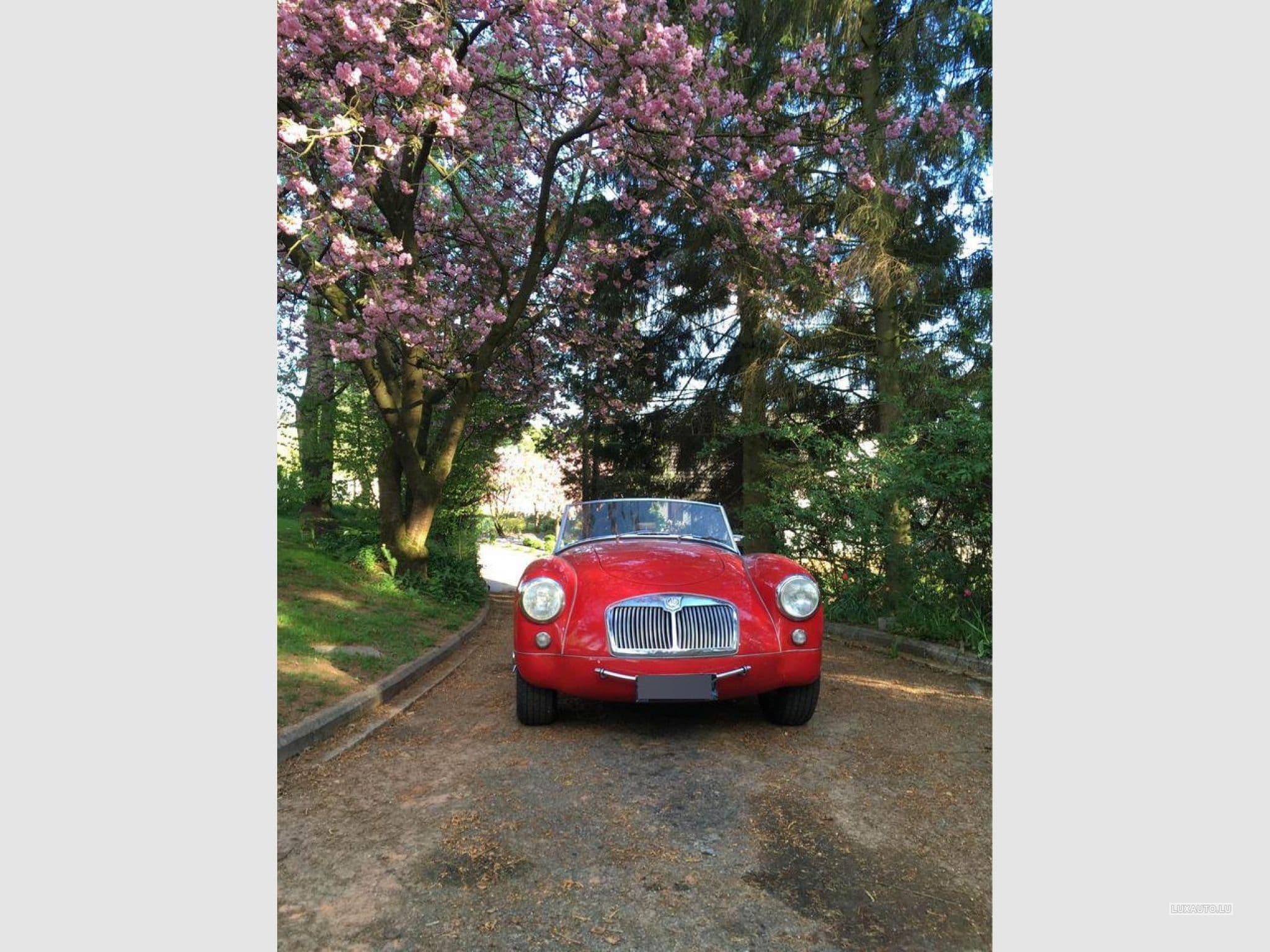 MG A (1958) - Photo 2
