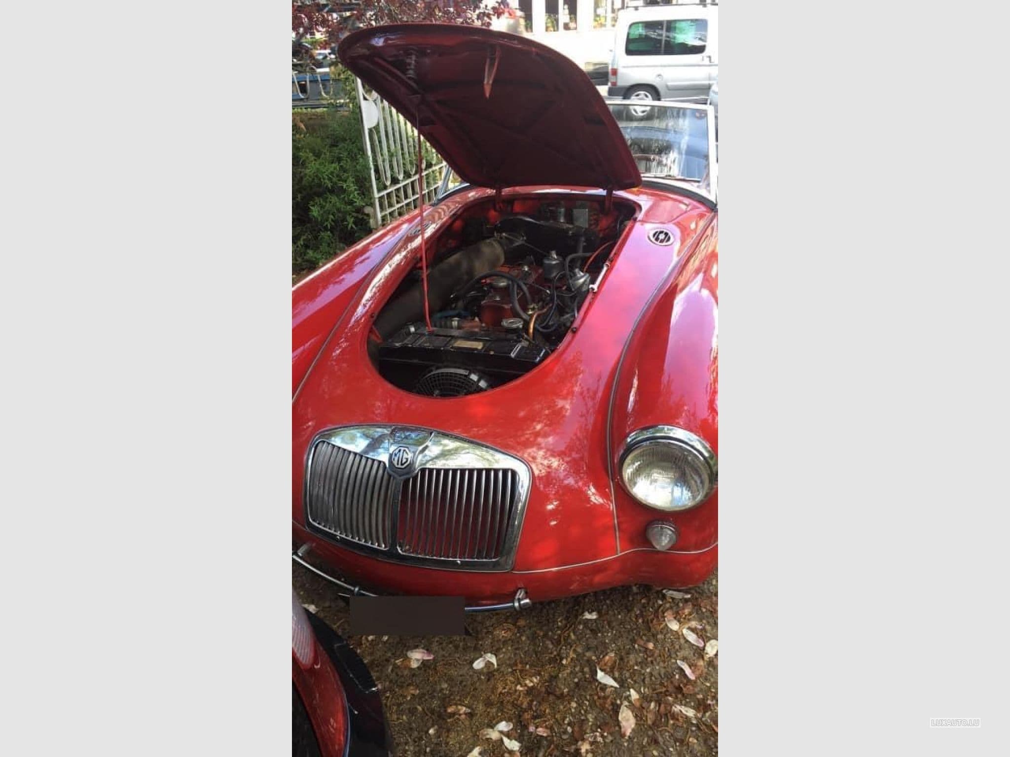 MG A (1958) - Photo 5