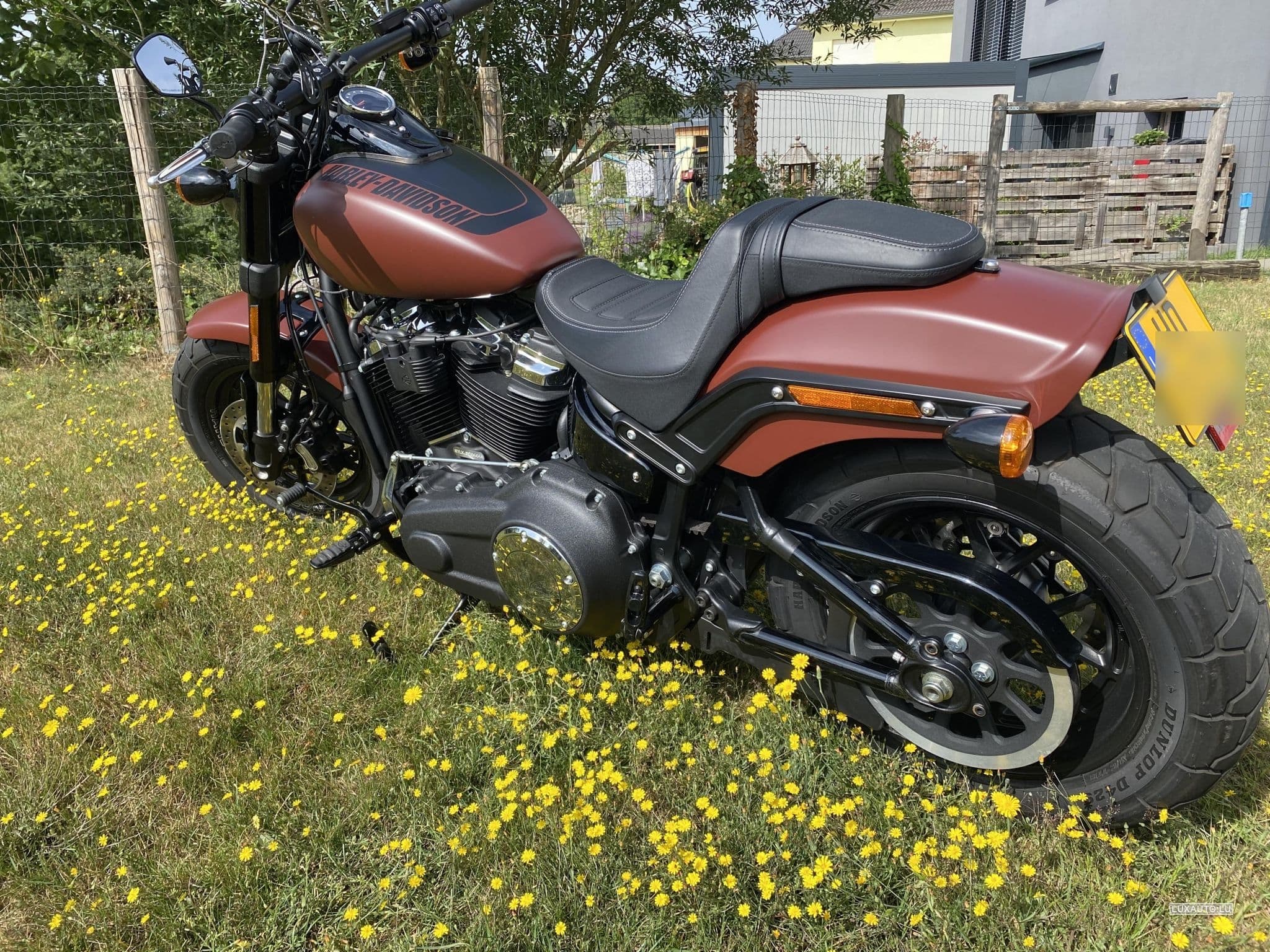 Harley-Davidson Fat Bob 114 (2018) - Photo 7