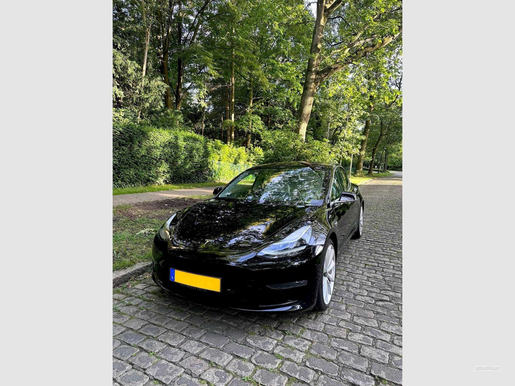Tesla Model 3 Performance / Dual Motor / FSD (2019) - Photo 2